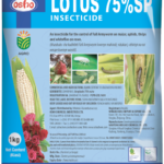 Lotus 75% SP (100g)
