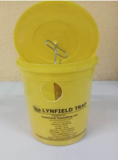 Bactrolure + Lynfield Trap - Yellow (tin + attractant/hormone)