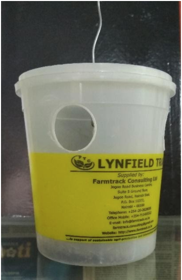 Bactrolure + Lynfield Trap - Clear (tin + attractant/hormone)