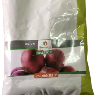 Malbec F1 250,000 Seeds (1kg)