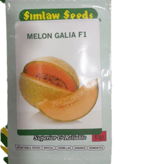 Sweet Melon Galia F1 10g