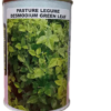 Pasture Legume Desmodium grass 100g