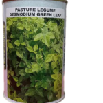 Pasture Legume Desmodium grass 100g