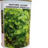 Pasture Legume Desmodium Green Leaf 250g