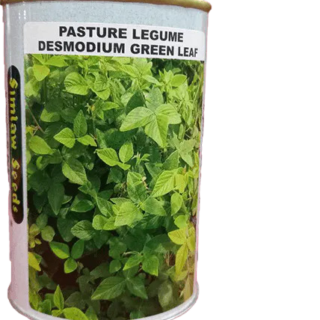 Pasture Legume Desmodium Green Leaf 250g