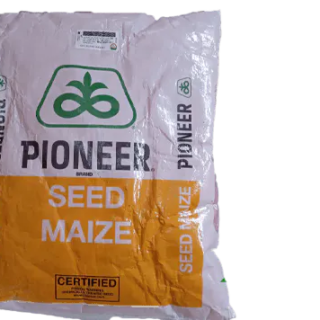 Pioneer PHB 3253 2kg maize