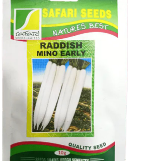 Safari Seeds Radish Mino Early 10g