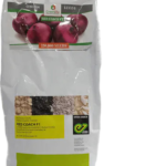Red Coach F1 onion-250,000 seeds