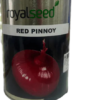 Royal Seed Red Pinnoy onion 500g