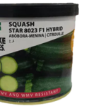 Courgette Star 8023 25g