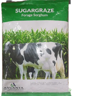 Sugargraze (Forage Sorghum)-1kg