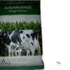 Advanta Sugargraze- Forage Sorghum 2Kg