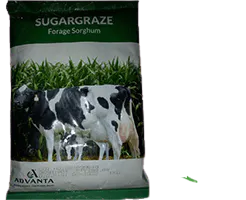 Advanta Sugargraze- Forage Sorghum 2Kg