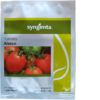 Alston F1 tomato 1000 seeds