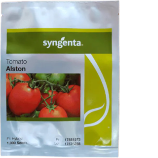Alston F1 tomato 1000 seeds