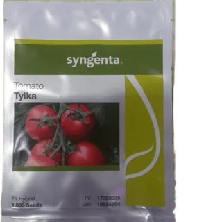 Tylka F1 tomato 500 seeds