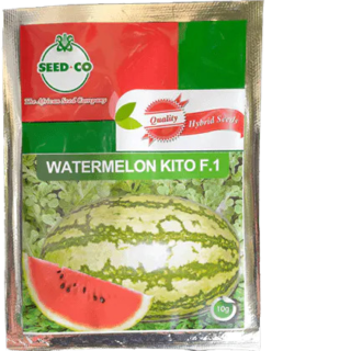 Kito F1 watermelon 100g