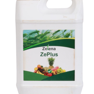 Zelena ZeFun 1L