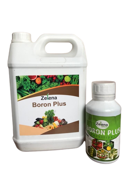 Zelena Boron Plus 5L