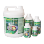 12 X Boom Flower(500ml)