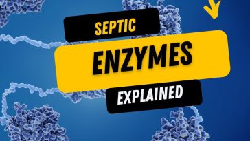 septic tank enzymes