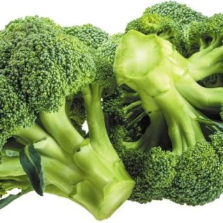 F1 Broccoli Seedling Per Seedling