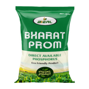 Bharat Prom 1pc