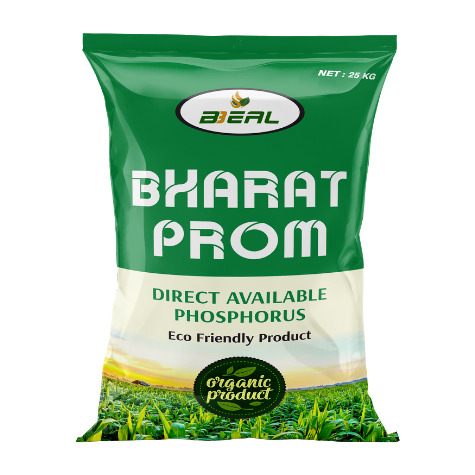 Bharat Prom 1pc