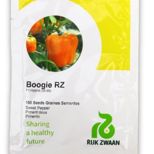 Sweet Pepper BOOGIE RZ F1 500seeds