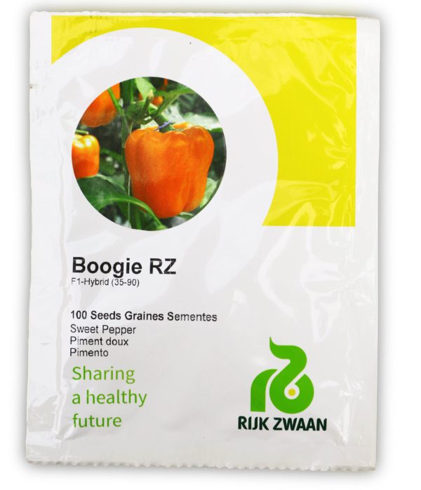 Sweet Pepper BOOGIE RZ F1 500seeds