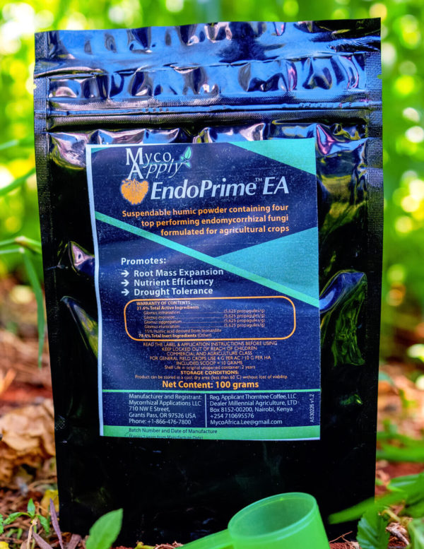 MycoApply Endoprime EA 4g