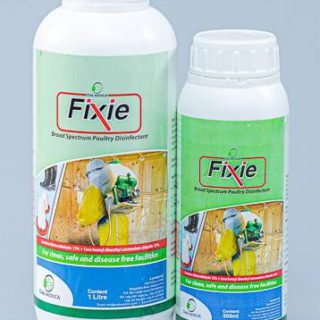 12 X Fixie (500ml)