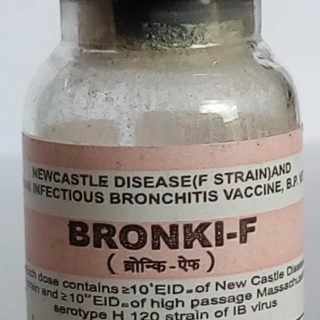20 X Bronk F Vaccine (500doses)