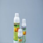 1 X Livergen Plus (1L)