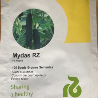 Cucumber MYDAS RZ F1 100seeds