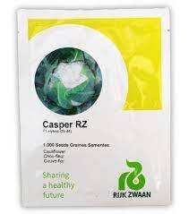 Cauliflower CASPER RZ 2500seeds