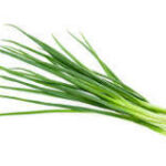 Onion- Leeks seedling Per seedlings