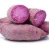 Sweet Potato- Purple Flesh Seedling Per Seedling