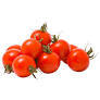 Tomatoes-Cherry Japanese Seedlings