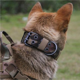 Tactical Dog Collar OTG4404