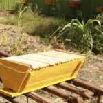 Kenya Top Bar Hive 1pc