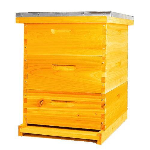 Langstroth Beehive 1pc