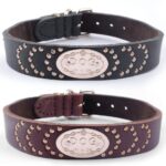 Leather Dog Collar 1pc