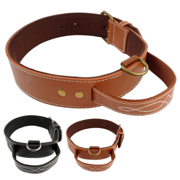 Quick Control Leather Dog Collar Medium