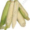 Maize H 6218 (2kg)