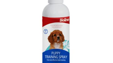 help train a puppy to urinate in the appropriate area