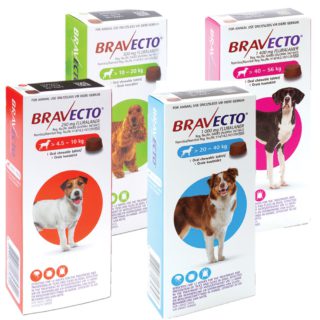 Bravecto Flea And Tick Treatment For Dogs (Medium 10)20kg