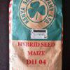 DH 04 Maize Hybrid Seed