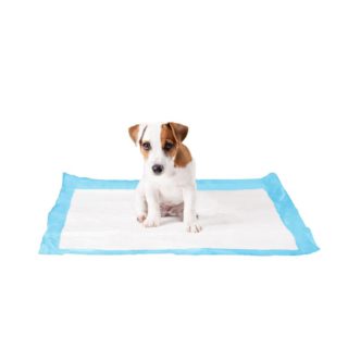 Dog training pads Large