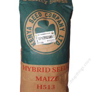 H 513 Maize Hybrid Seed 2kg